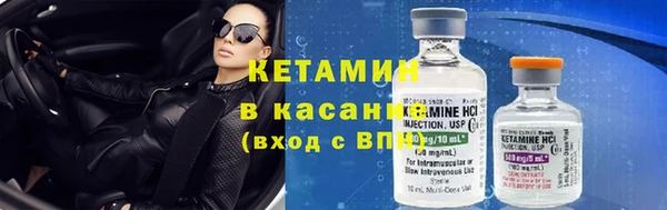 прущие грибы Михайловка