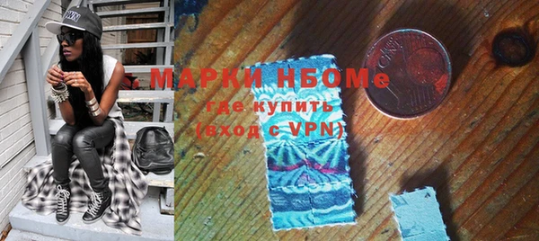 прущие грибы Михайловка