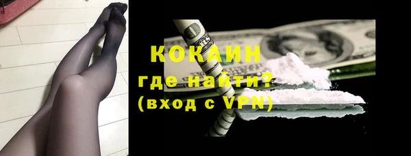 прущие грибы Михайловка